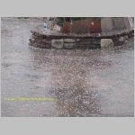 20060814_GrandCanyon_003 copia.jpg